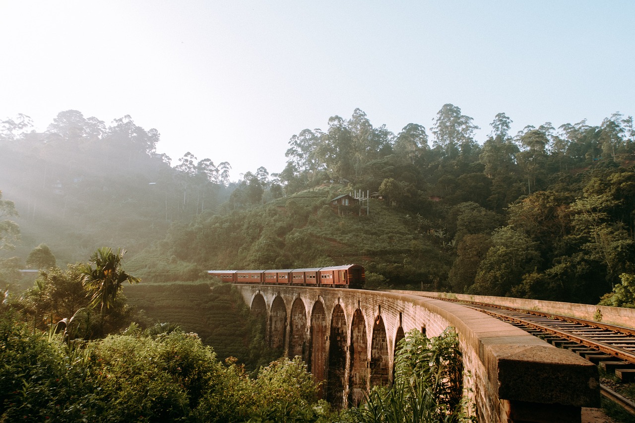 nine_arches_bridge_train